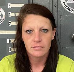 mugshot of ASHLEY  WATSON