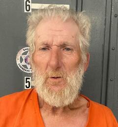mugshot of WYMAN  WELLS