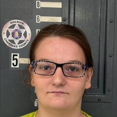 mugshot of DIANNE  KING