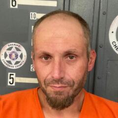 mugshot of WILLIAM  DAVIS