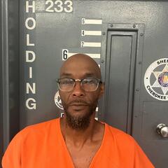 mugshot of STACEY  BROOKS