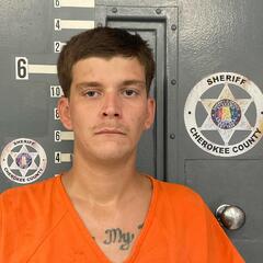 mugshot of BRANDON  SOUTHERLAND