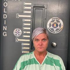 mugshot of MICHELLE  CARROLL