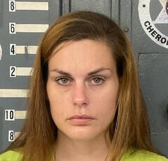 mugshot of HAYLEY  ROLLINS