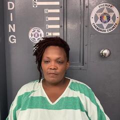 mugshot of LISA  BENNETT