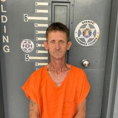 mugshot of ROBERT  DAVIS