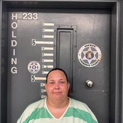 mugshot of AMANDA  CHAMBLEE