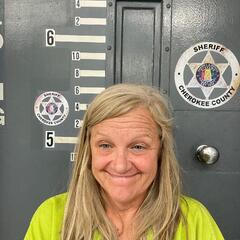mugshot of ALLISON  LEWIS