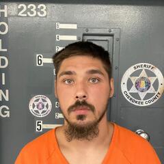mugshot of DAVID  JONES