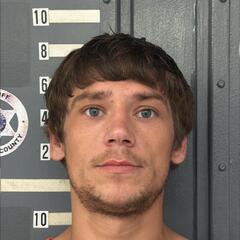 mugshot of LEVI  WIGLEY
