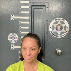 mugshot of JENNIFER  WATTS