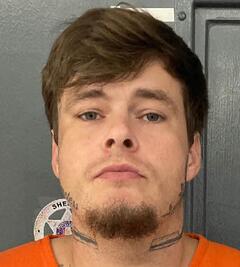 mugshot of JOHN  SEWELL
