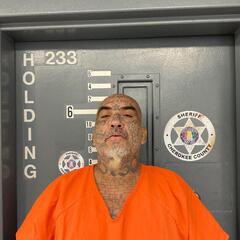 mugshot of RUDY  MILLS