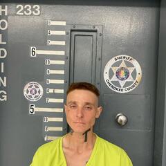 mugshot of ANISSA  ANGLIN