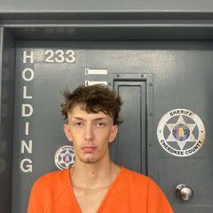 mugshot of BRYSON  DILDINE