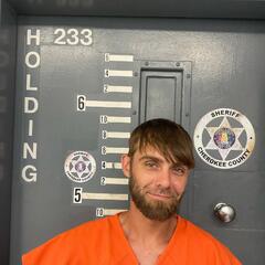 mugshot of MICHAEL  HELMS