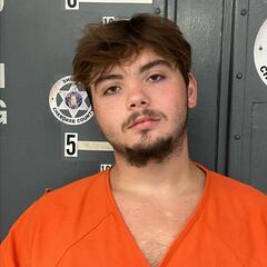 mugshot of ADAM  WADE