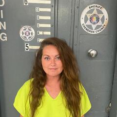 mugshot of ALICIA  BLYTH