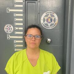mugshot of JESSICA  WILLINGHAM