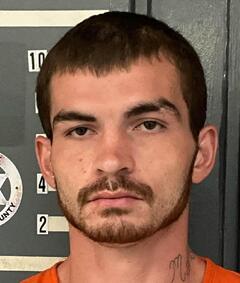 mugshot of JERRY  DOWNEY