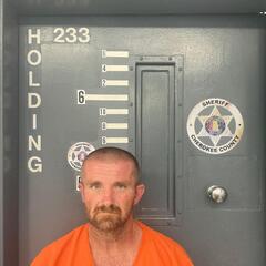 mugshot of TERRY  FRIER