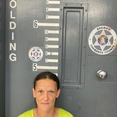 mugshot of ALISHA  TIDWELL