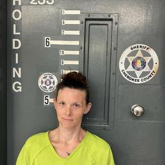 mugshot of BRITTANY  EDWARDS