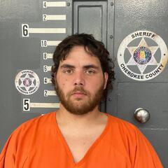 mugshot of NICHOLAS  SCHILLECI