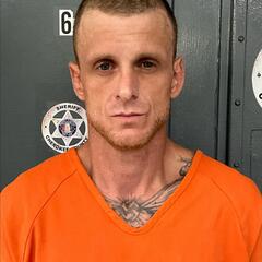 mugshot of MICHAEL  PEED