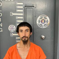 mugshot of RAUL  ALVARADO