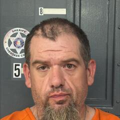 mugshot of JAMES  HARRELL