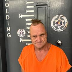 mugshot of TRAVIS  HULSEY
