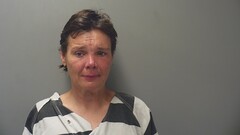 mugshot of ELIZABETH  MCKINNEY