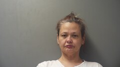 mugshot of TERRI  ANDERSON