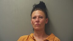 mugshot of LESLEY  GUYTON