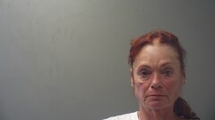 mugshot of DONNA  VANDIVER