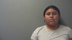 mugshot of PRICILA  VELASQUEZ-VAIL