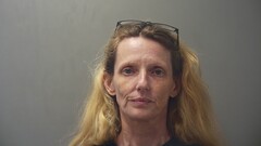 mugshot of SHANNON  WOOD