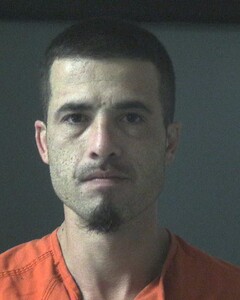 mugshot of JOSEPH  WEESE