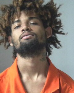 mugshot of JALEN  MARTIN