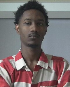 mugshot of BRAYVUAN  YORK
