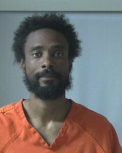 mugshot of DAVID  PAYNE