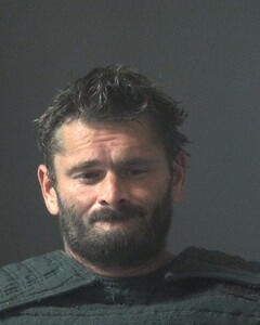 mugshot of JAMES  WILLIAMSON