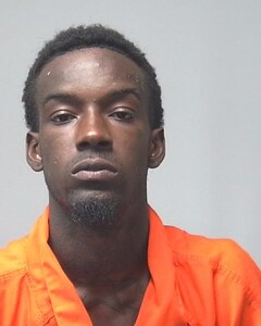 mugshot of NAZAREE  HASLAM