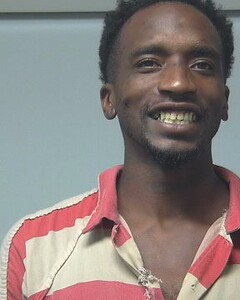 mugshot of BRANDON  MCNEAL