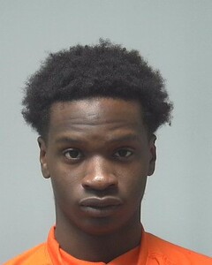 mugshot of DEVON  WALTON