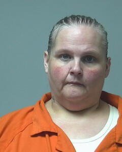 mugshot of AMY  CHAMBERLAIN