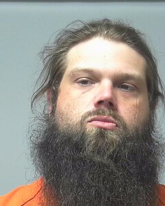 mugshot of TYLER  REEVE