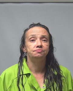 mugshot of PATRICIA  BUTLER