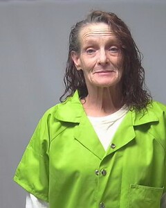 mugshot of LISA  COOLEY